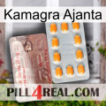 Kamagra Ajanta new13